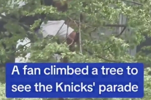 世界杯小组赛西班牙vs佛得角直播_世界杯小组赛西班牙vs佛得角比分预测_世界杯小组赛西班牙vs佛得角高清回放15