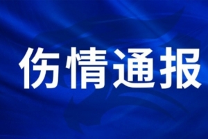 瑞士vs加掌大_1直播_瑞士vs加掌大_1免费观看_瑞士vs加掌大_1高清回放20