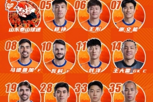 山东泰山今日阵容，加油 ​​​